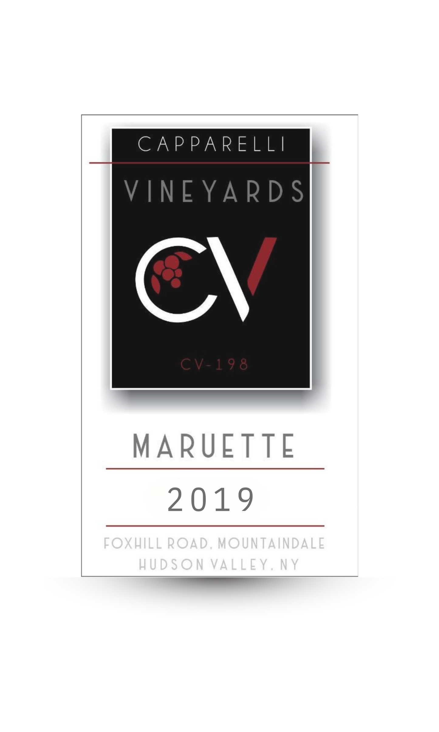 MARQUETTE 2019
